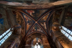 Avignone-11