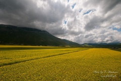 Castelluccio