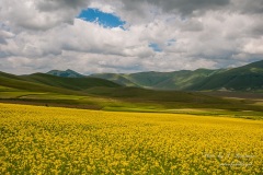 Castelluccio