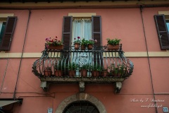 Norcia